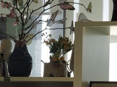 -莫子山公园