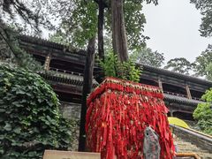-潭柘寺景区