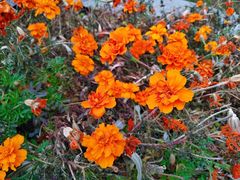 -长春公园(普阳街道)