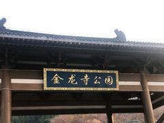 -金龙寺国家森林公园