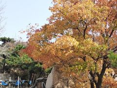 -天津盘山风景名胜区