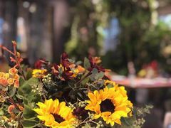 -Boboli Garden 波波里花园餐厅
