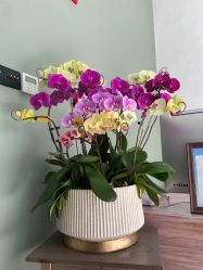 -无界瑜伽普拉提