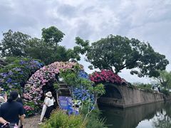 -无锡蠡湖国家湿地公园-蠡园