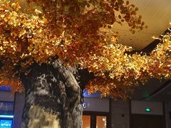 -青水瓦台汤泉(未央店)