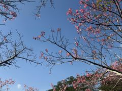 -风云岭森林公园