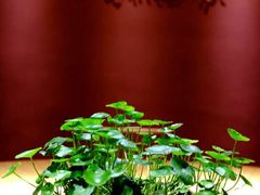 -和枫(众意路店)