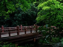 -紫霞湖公园