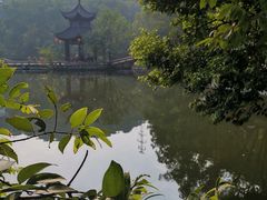 -忠山公园