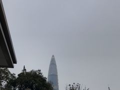 -深圳龙华星河COCO City(民治店)