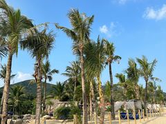 -精酿农场Brew Farm·沙漠绿洲餐厅