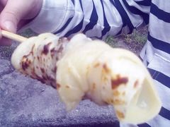 烤乳扇-杨记乳扇·雕梅