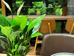 -宋益驴蹄子面肉夹馍(辛家庙店)