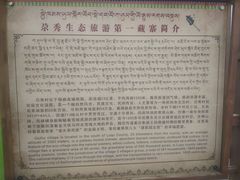-尕秀村