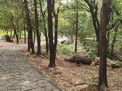 -泰山风景名胜区-普照寺