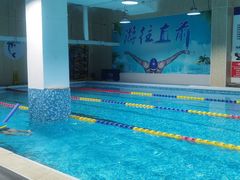 -飞鲨游泳培训学校