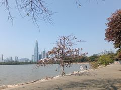 -深圳湾公园(南山区)