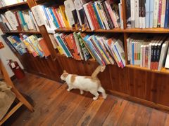 -猫的天空之城概念书店(苏州平江店)