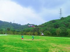-风云岭森林公园