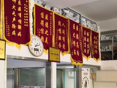 -顺强宠物诊所·狂犬免疫·夜诊·骨科(嘉定店)