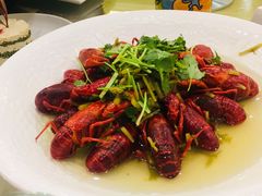 -新日月育才大酒店-中餐厅(环城北路店)