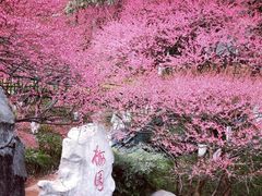 -重庆彩云湖湿地公园