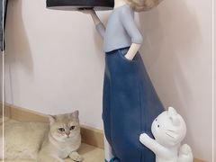 -猫咪派对(江南西店)