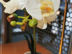 -九锅一堂酸菜鱼(学府凯德店)