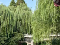 -泉城广场