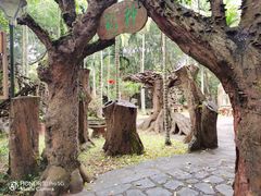 -海口火山口国家地质公园