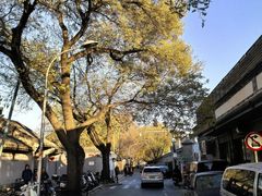 -桂香村(护国寺店)