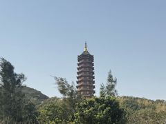 -普陀山风景区-佛顶山
