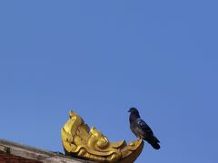 -洛阳白马寺