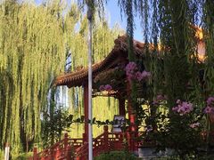-南翠屏公园