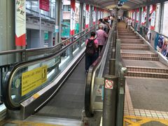 -珍妮曲奇聪明小熊(上环店)