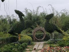 -东莞香市动物园