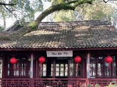 -上海醉白池公园
