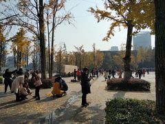 -两江幸福广场