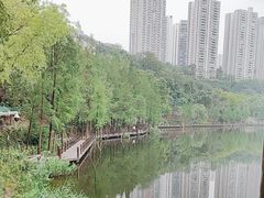 -重庆彩云湖湿地公园
