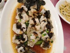 清蒸石斑鱼-金时代顺风大酒店(协泰店)
