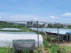 -木兰水镇旅游景区