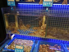 -必点海鲜·鲅鱼水饺(鞍山西道店)
