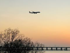 -宝安西湾红树林湿地公园