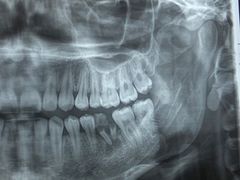 -牙博士口腔品牌连锁(杨浦店)