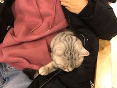 -平行世界·猫咖(首经贸店)