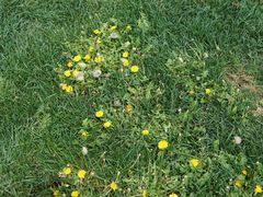 -潭柘厚院(桑峪村店)