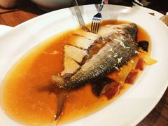 -乔家栅(襄阳南路店)