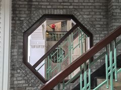 -武汉大学-樱园