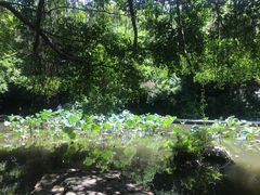 -燕晗山郊野公园