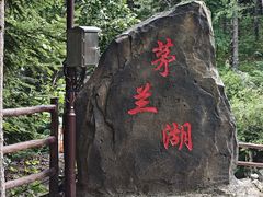 -茅兰沟国家森林公园
